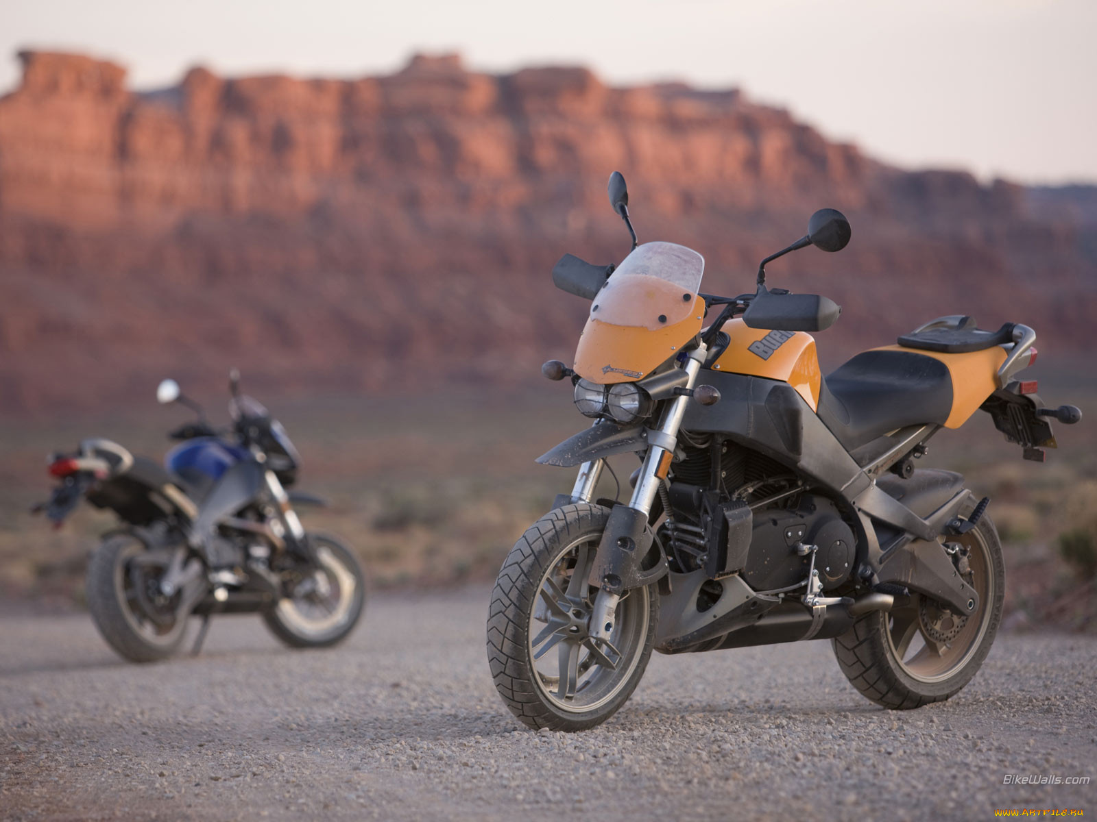 , buell